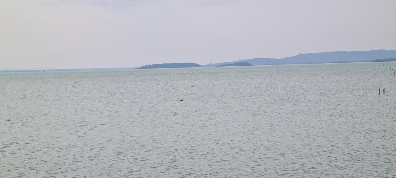 Appartamento Lago Trasimeno - Torricella Pg Eksteriør bilde